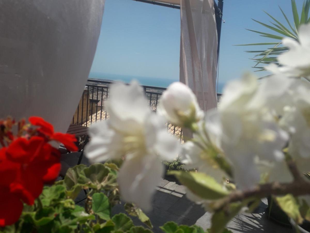 Tesori Di Girgenti Bed & Breakfast อากริเจนโต ภายนอก รูปภาพ