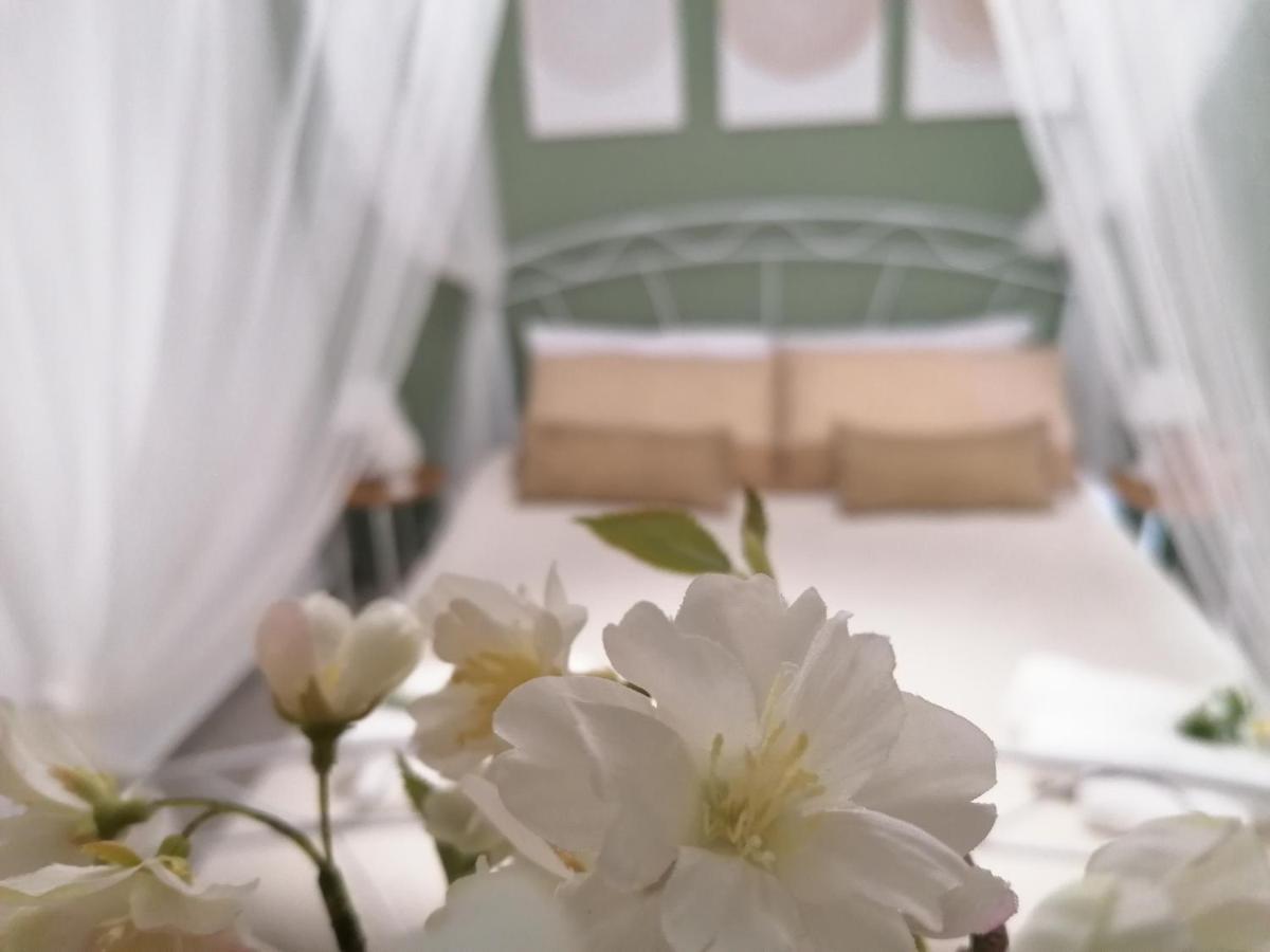 Tesori Di Girgenti Bed & Breakfast อากริเจนโต ภายนอก รูปภาพ